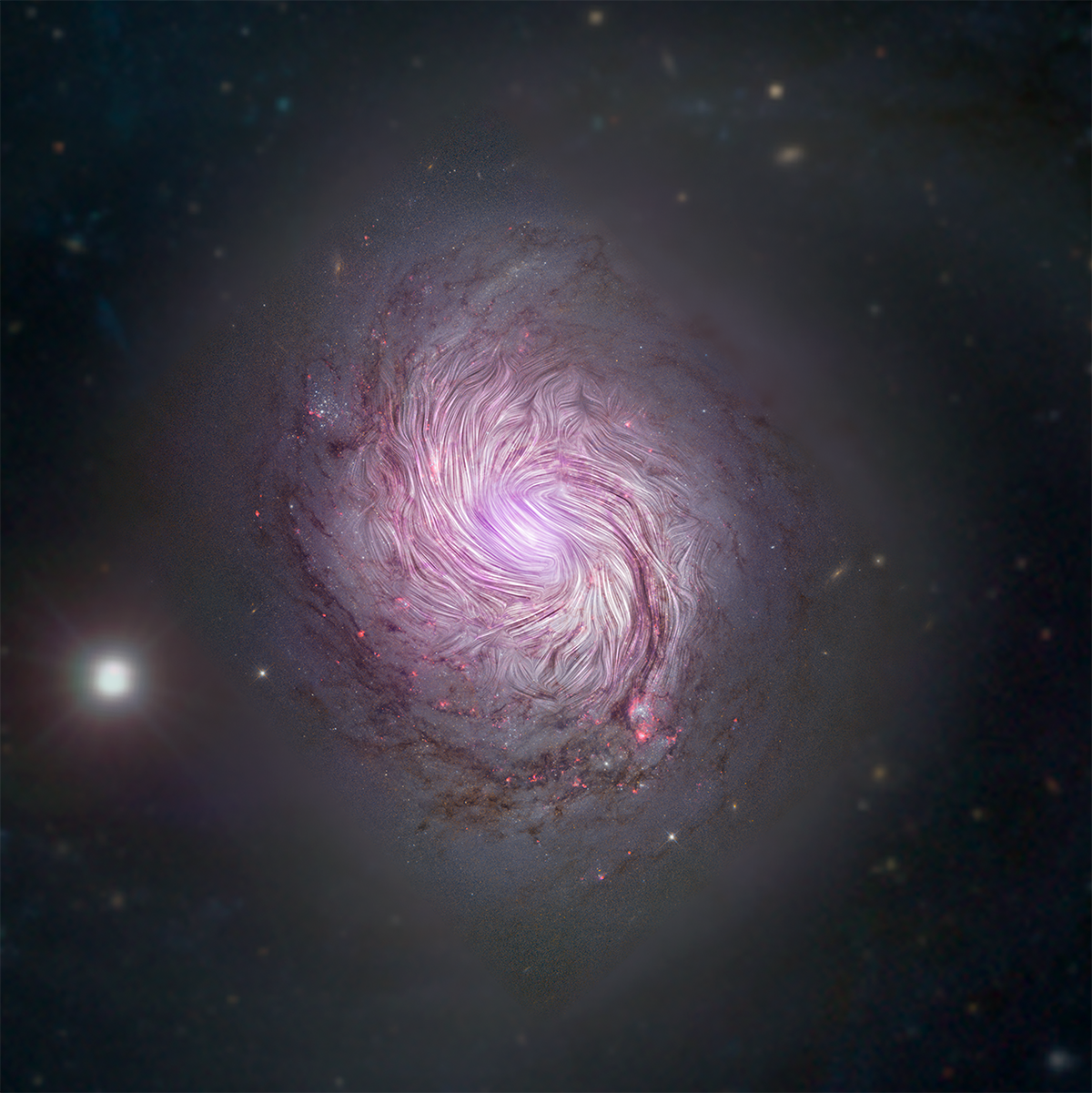 Magnetic fields in NGC 1068, or M77, are shown as streamlines over a visible light and X-ray composite image of the galaxy. Composite image of the galaxy NGC 1068 with magnetic fields shown as streamlines