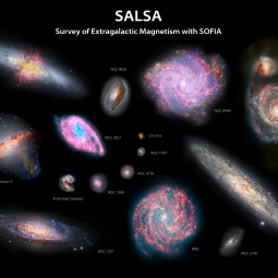 The magnetic fields of 15 extragalactic objects shown in relative angular sizes.