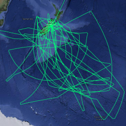 Composite photo of SOFIA's flight paths during the 2015 Southern Deployment