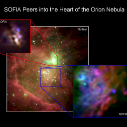 SOFIA/FORCAST mid-infrared images of M42