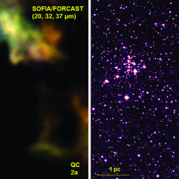 SOFIA/FORCAST mid-infrared image of a region including the Quintuplet Cluster