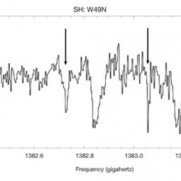 Two spectral lines of the SH molecule (mercapto radical), indicated by arrows, are detected in absorption towards W49N at frequencies of about 1382.7 and 1383.1 gigahertz