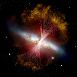 Magnetic fields in M82 are shown as lines over a visible light and infrared composite image