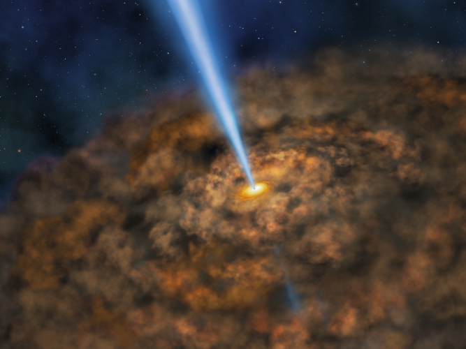 Illustration of thick ring of dust near the supermassive black hole of an active galactic nuclei
