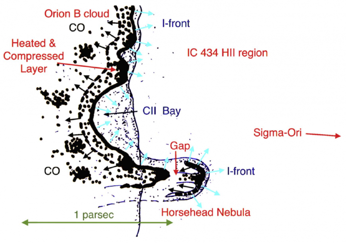 Illustration showing the likely configuration of the Horsehead Nebula and the IC 434 I-front.