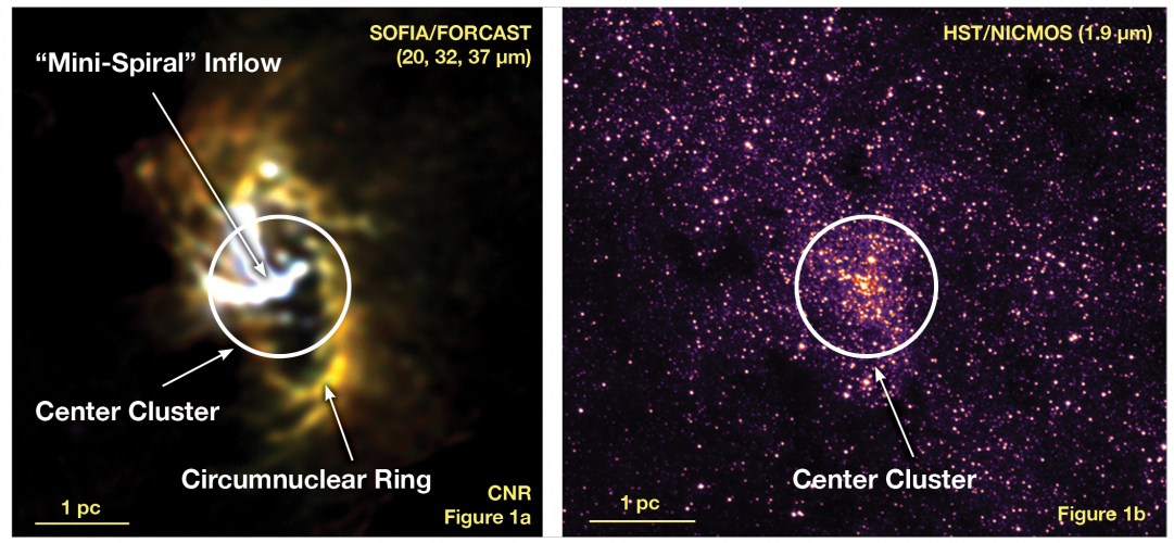 Milky Way Galaxy Circumnuclear Ring